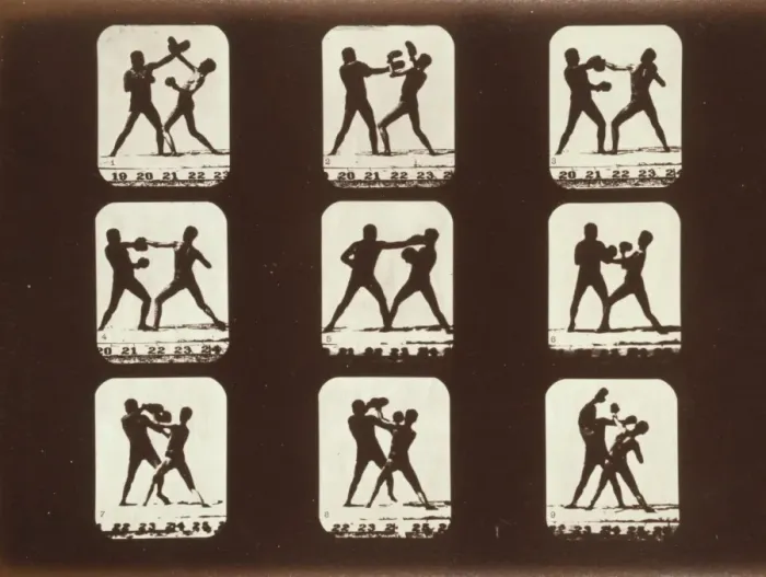 Framed Print : Athletes. Boxing Framed Print : Athletes. Boxing
