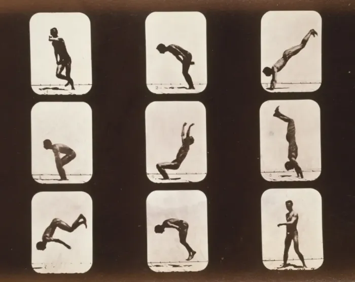 Framed Print : Athletes. Irregular Framed Print : Athletes. Irregular