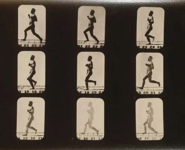 Framed Print : Athletes. Running Framed Print : Athletes. Running