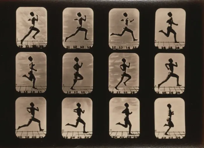 Framed Print : Athletes. Running Framed Print : Athletes. Running