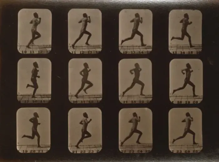 Framed Print : Athletes. Running Framed Print : Athletes. Running