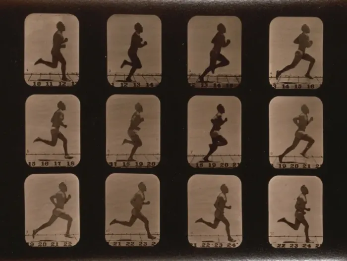 Framed Print : Athletes. Running Framed Print : Athletes. Running