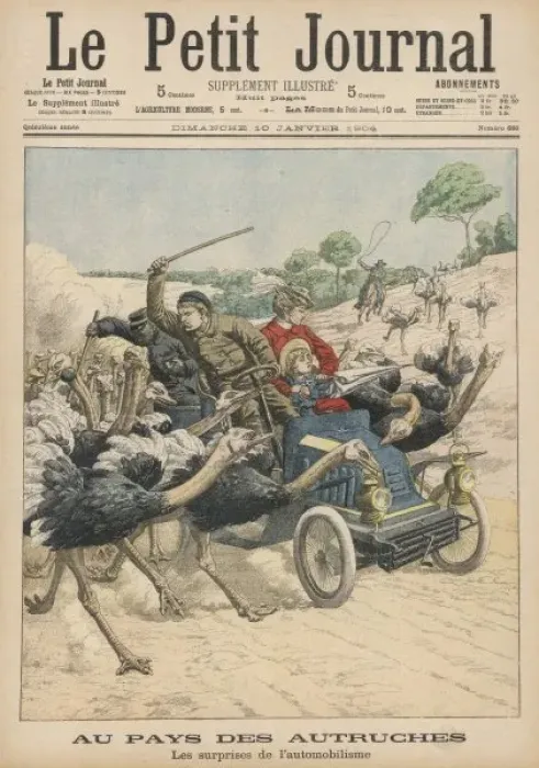 Framed Print : Attacked by Ostriches Framed Print : Attacked by Ostriches