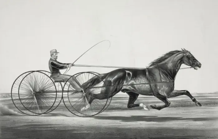 Framed Print : Auburn horse: driven by his owner Robert Bonner, Esq Framed Print : Auburn horse: driven by his owner Robert Bonner, Esq