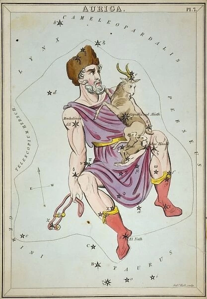 Auriga. Astronomical chart showing Auriga the Charioteer holding a ram, two ewes