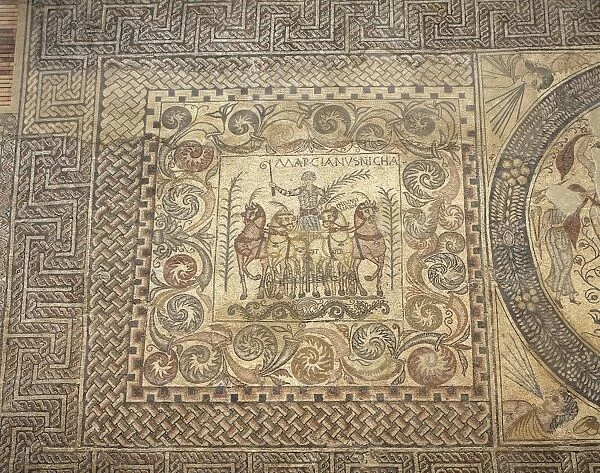 The Aurigas mosaic. 4th century. The victoriuos charioteer M