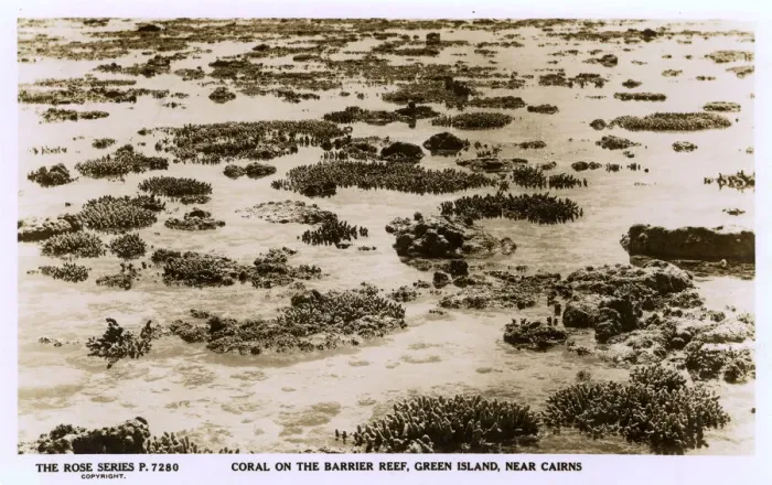 Framed Print : Australia - Coral on the Great Barrier Reef near Cairns Framed Print : Australia - Coral on the Great Barrier Reef near Cairns