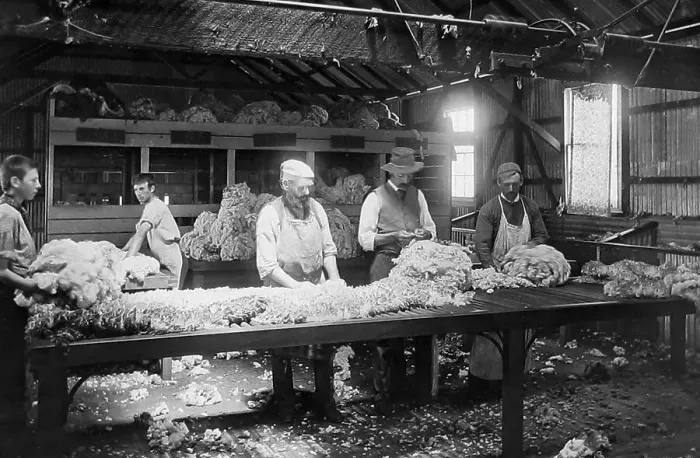 Framed Print : Australia Wool grading shed Victorian period Framed Print : Australia Wool grading shed Victorian period