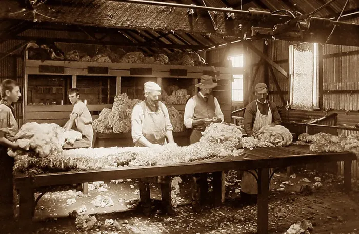 Framed Print : Australia Wool grading shed Victorian period Framed Print : Australia Wool grading shed Victorian period