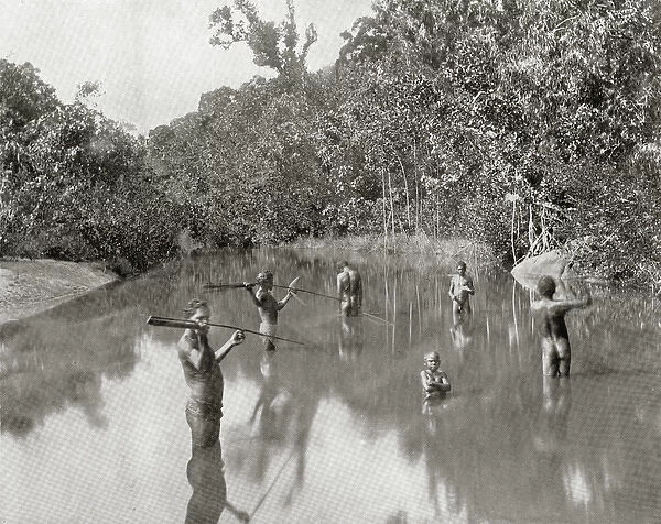 Australian Aborigines spearing fish