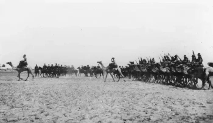 Framed Print : Australian Camel Corps in desert, Eastern Front, WW1 Framed Print : Australian Camel Corps in desert, Eastern Front, WW1