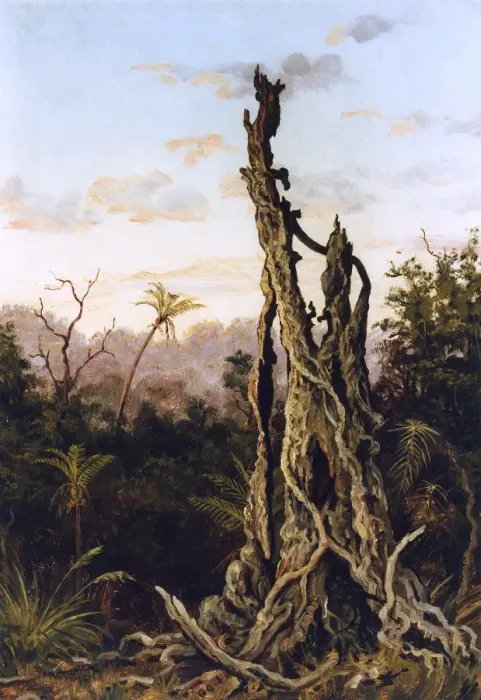 Framed Print : Australian Landscape, Charles E Gordon Frazer