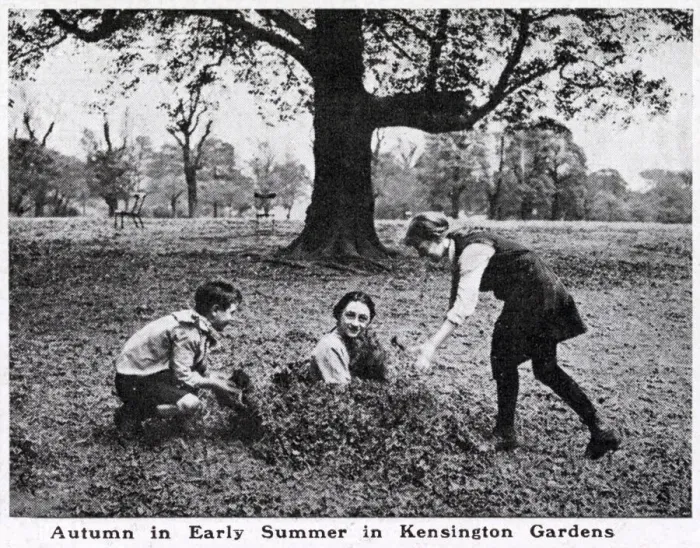 Framed Print : Autumn in early summer, Kensington Gardens Framed Print : Autumn in early summer, Kensington Gardens