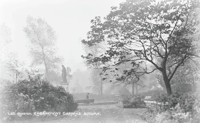 Framed Print : Autumn in Embankment Gardens Framed Print : Autumn in Embankment Gardens