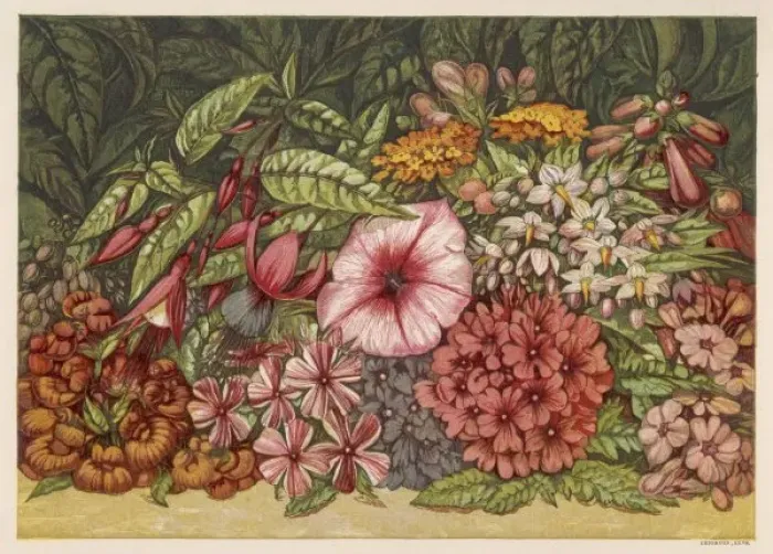 Framed Print : Autumn Flowers 1866 Framed Print : Autumn Flowers 1866