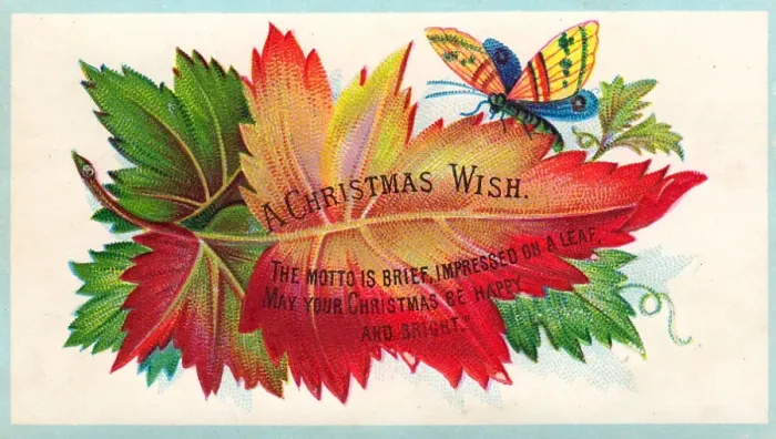 Framed Print : Autumn leaf and butterfly on a Christmas card Framed Print : Autumn leaf and butterfly on a Christmas card