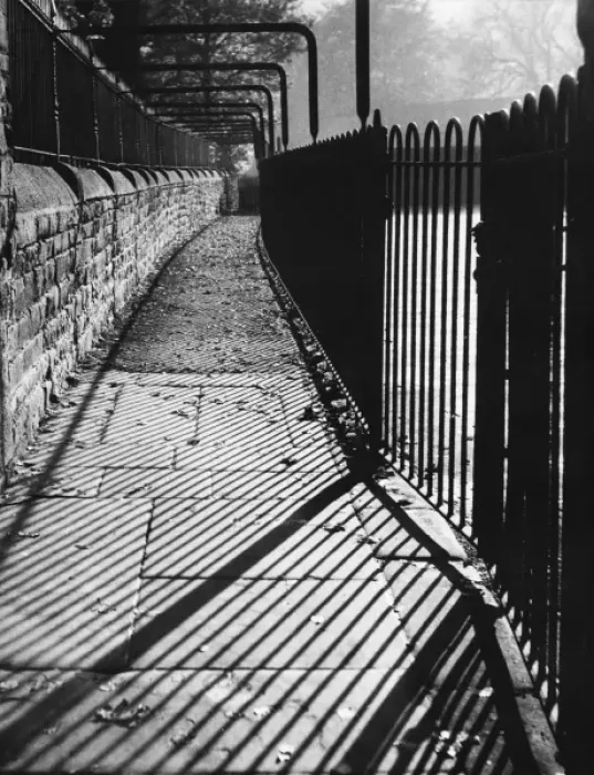 Framed Print : Autumn Shadows Framed Print : Autumn Shadows
