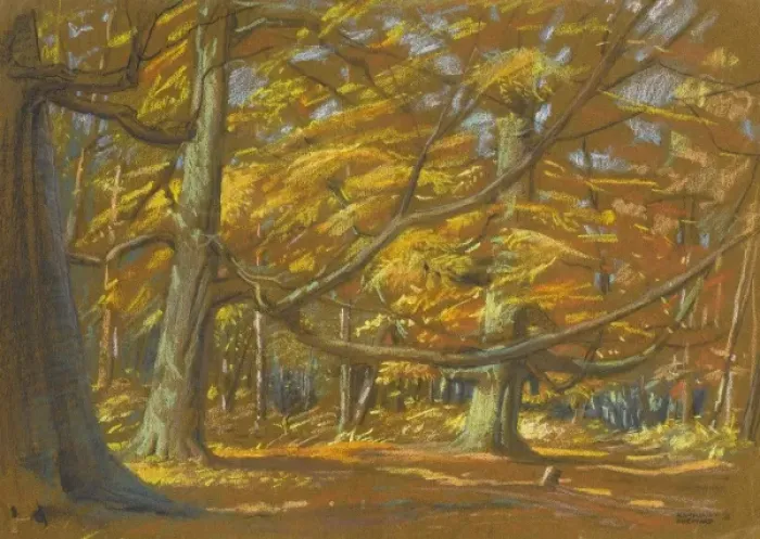 Framed Print : Autumn woodland scene Framed Print : Autumn woodland scene