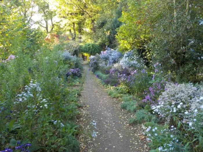 Framed Print : Autumnal Borders at Munstead Wood Framed Print : Autumnal Borders at Munstead Wood