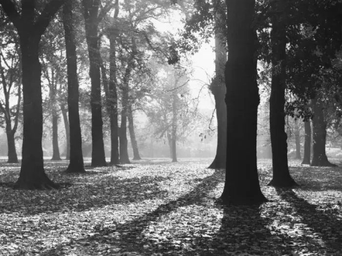 Framed Print : Autumnal Scene