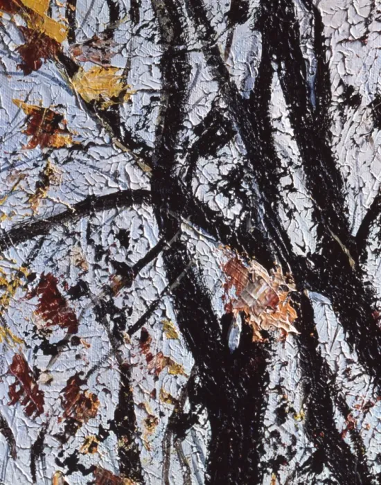 Framed Print : Autumnal trees