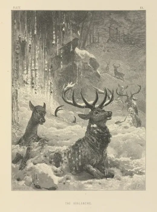 Framed Print : The Avalanche Framed Print : The Avalanche