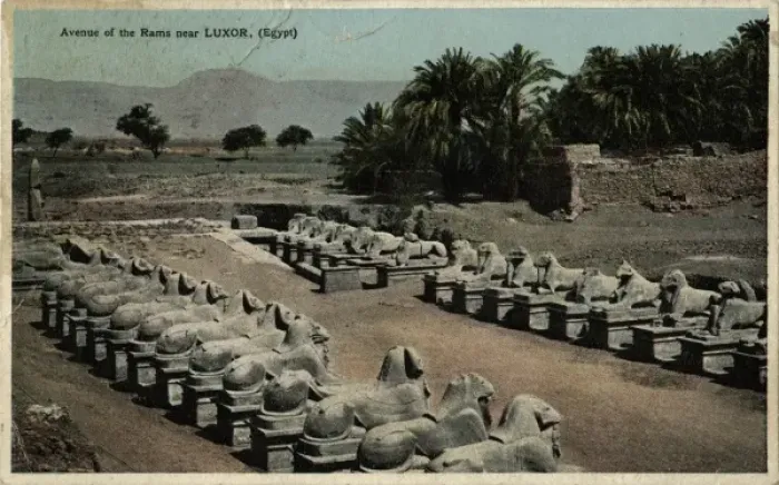 Framed Print : Avenue of ram-headed sphinxes, Temple of Amun, Egypt Framed Print : Avenue of ram-headed sphinxes, Temple of Amun, Egypt