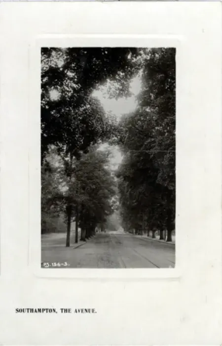 Framed Print : The Avenue, Southampton, Hampshire Framed Print : The Avenue, Southampton, Hampshire