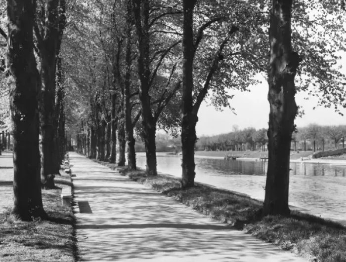 Framed Print : Avenue of Trees Framed Print : Avenue of Trees