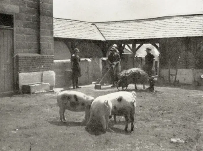 Framed Print : Aylesbury Borstal Inmates - Farm Work Framed Print : Aylesbury Borstal Inmates - Farm Work