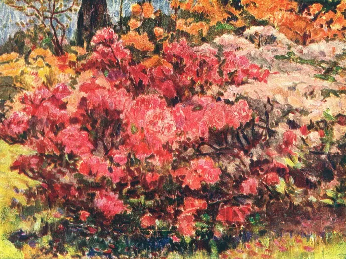 Framed Print : The Azaleas Framed Print : The Azaleas