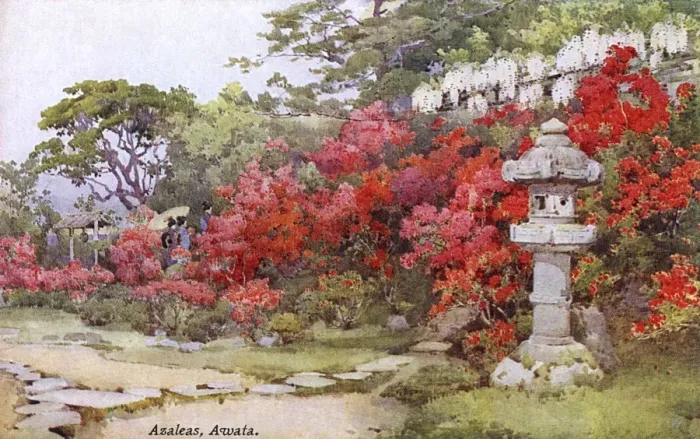 Framed Print : Azaleas, Awata, Japan
