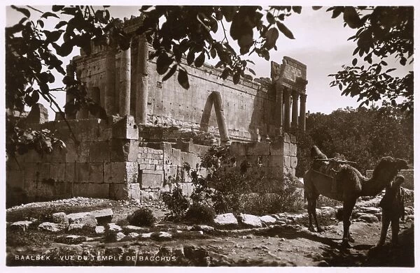 Baalbek, Lebanon - The Temple of Bacchus