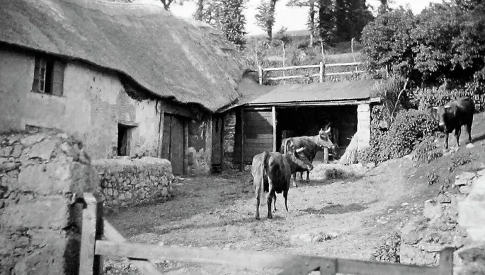 Framed Print : Babbacombe Eller farm near torquay Framed Print : Babbacombe Eller farm near torquay