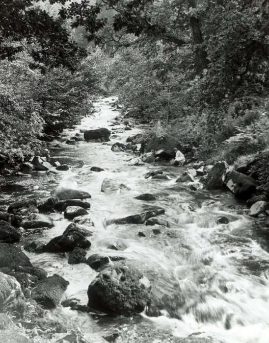 Framed Print : Babbling brook, North Wales Framed Print : Babbling brook, North Wales