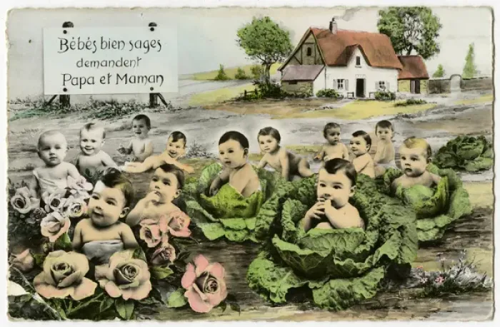 Framed Print : Babies Await Parents Framed Print : Babies Await Parents