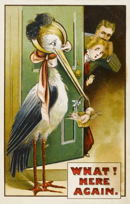 Framed Print : BABY BROUGHT BY STORK Framed Print : BABY BROUGHT BY STORK