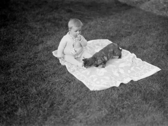 Framed Print : Baby and Cat Framed Print : Baby and Cat
