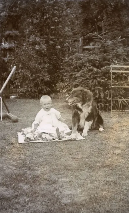 Framed Print : Baby and dog in a garden Framed Print : Baby and dog in a garden