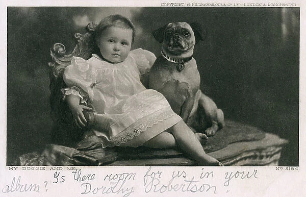 Baby and dog in studio portrait