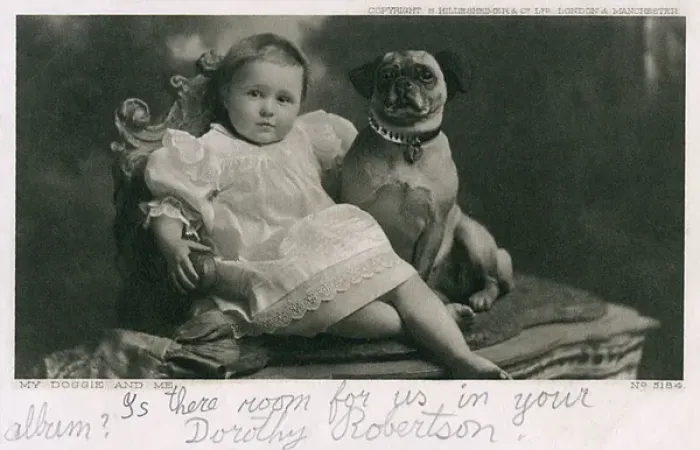 Framed Print : Baby and dog in studio portrait Framed Print : Baby and dog in studio portrait