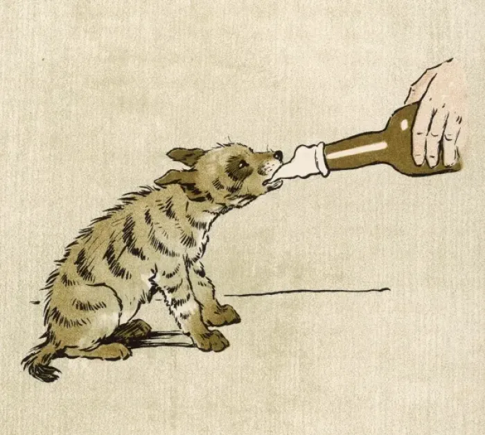 Framed Print : Baby Hyena Drinking 1907 Framed Print : Baby Hyena Drinking 1907