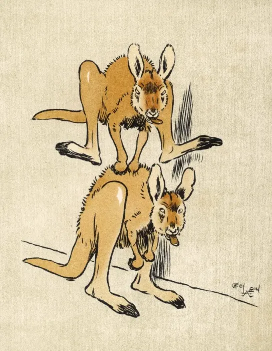 Framed Print : Baby Kangaroos Aldin Framed Print : Baby Kangaroos Aldin