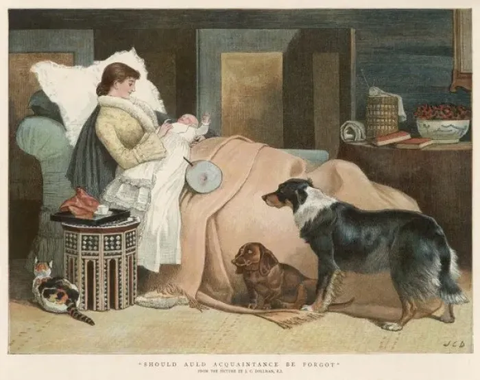Framed Print : Baby / Neglected Pets 1888 Framed Print : Baby / Neglected Pets 1888