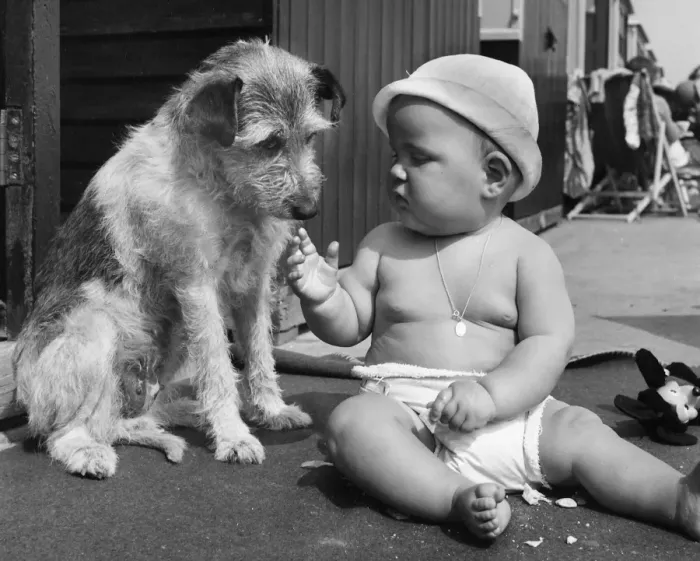 Framed Print : Baby at seaside with dog
