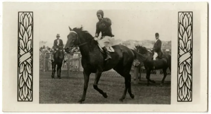 Framed Print : Bacchus, Australian race horse Framed Print : Bacchus, Australian race horse