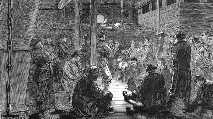Framed Print : The Bachelors accomodation on the emigrant ship, Indus, 1