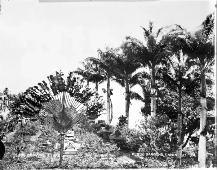 Framed Print : Bahia public gardens, Brazil, South America 1873 Framed Print : Bahia public gardens, Brazil, South America 1873