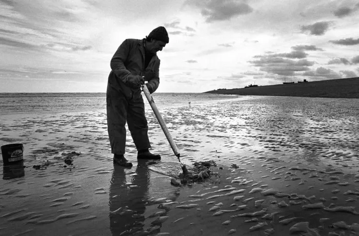 Framed Print : Bait fisherman, Kent Framed Print : Bait fisherman, Kent
