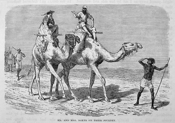 Baker / Camels in Africa